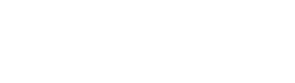 the seo fly white logo